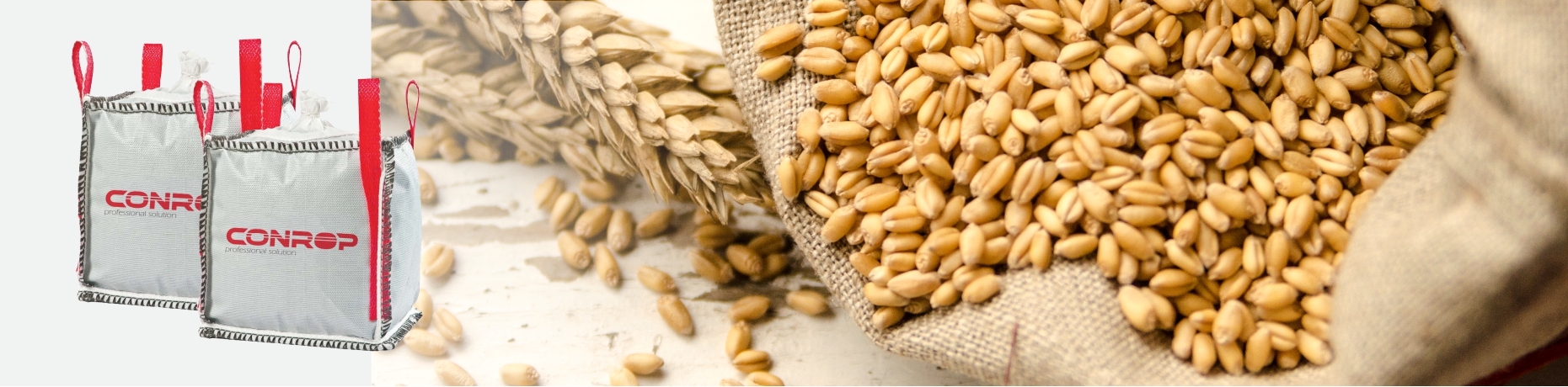 Crop bags are used in agriculture for the transport and storage of crops. It differs from food bags mainly in the requirement for a&nbsp;breathable fabric that ventilates and the same certification is not required. They are often made of so-called ventila